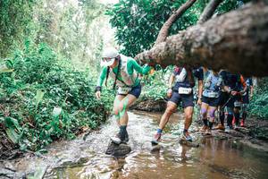 BIB: 
                            <button type="button" onclick="openModal(25373641)" class="btn btn-primary btn-sm float-right btn-popup" data-toggle="modal" data-target=".modal-high-quality">
                        <i class="fas fa-shopping-cart"></i> Add to Cart
                    </button>
                                            <button type="button" onclick="isThisMe(25373641, true)" class="btn btn-success btn-sm float-right btn-popup btn-isme hidden" data-toggle="tooltip" data-placement="bottom" title="นี่คือรูปของคุณใช่ไหม คลิกที่นี่เพื่อเอาเข้าอัลบั้ม">
                        <i class="fas fa-plus"></i> Add to album
                    </button>
                    <button type="button" onclick="isThisMe(25373641, false)" class="btn btn-warning btn-sm float-right btn-popup btn-isnotme hidden">
                        <i class="fas fa-ban"></i> Remove from album
                    </button>